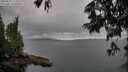 ./images/koeye/fitz-hugh/20250625/fitz-hugh20250625_180012M.jpg