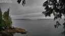 ./images/koeye/fitz-hugh/20250625/fitz-hugh20250625_185010M.jpg