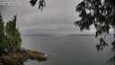 ./images/koeye/fitz-hugh/20250625/fitz-hugh20250625_185510M.jpg