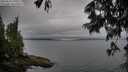 ./images/koeye/fitz-hugh/20250625/fitz-hugh20250625_191010M.jpg