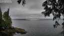 ./images/koeye/fitz-hugh/20250625/fitz-hugh20250625_191509M.jpg