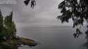 ./images/koeye/fitz-hugh/20250625/fitz-hugh20250625_193009M.jpg