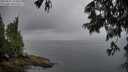 ./images/koeye/fitz-hugh/20250625/fitz-hugh20250625_193509M.jpg