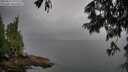 ./images/koeye/fitz-hugh/20250625/fitz-hugh20250625_195508M.jpg