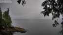 ./images/koeye/fitz-hugh/20250625/fitz-hugh20250625_202509M.jpg
