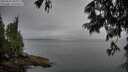 ./images/koeye/fitz-hugh/20250625/fitz-hugh20250625_203010M.jpg