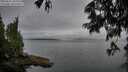 ./images/koeye/fitz-hugh/20250625/fitz-hugh20250625_203509M.jpg