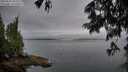 ./images/koeye/fitz-hugh/20250625/fitz-hugh20250625_204010M.jpg