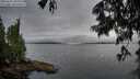 ./images/koeye/fitz-hugh/20250625/fitz-hugh20250625_205007M.jpg