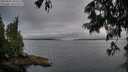 ./images/koeye/fitz-hugh/20250625/fitz-hugh20250625_205509M.jpg