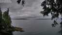 ./images/koeye/fitz-hugh/20250625/fitz-hugh20250625_215008M.jpg
