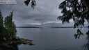 ./images/koeye/fitz-hugh/20250625/fitz-hugh20250625_220509M.jpg