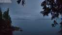 ./images/koeye/fitz-hugh/20250625/fitz-hugh20250625_222509M.jpg