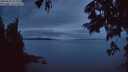 ./images/koeye/fitz-hugh/20250625/fitz-hugh20250625_223509M.jpg