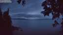 ./images/koeye/fitz-hugh/20250625/fitz-hugh20250625_224010M.jpg