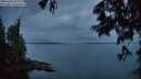 ./images/koeye/fitz-hugh/20250626/fitz-hugh20250626_045008M.jpg