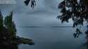 ./images/koeye/fitz-hugh/20250626/fitz-hugh20250626_050008M.jpg