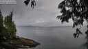 ./images/koeye/fitz-hugh/20250626/fitz-hugh20250626_061011M.jpg