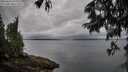 ./images/koeye/fitz-hugh/20250626/fitz-hugh20250626_071011M.jpg