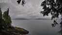 ./images/koeye/fitz-hugh/20250626/fitz-hugh20250626_075510M.jpg