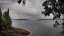 ./images/koeye/fitz-hugh/20250626/fitz-hugh20250626_083511M.jpg
