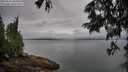 ./images/koeye/fitz-hugh/20250626/fitz-hugh20250626_084511M.jpg