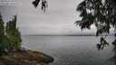 ./images/koeye/fitz-hugh/20250626/fitz-hugh20250626_090012M.jpg