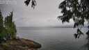 ./images/koeye/fitz-hugh/20250626/fitz-hugh20250626_090509M.jpg