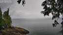 ./images/koeye/fitz-hugh/20250626/fitz-hugh20250626_091011M.jpg