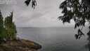 ./images/koeye/fitz-hugh/20250626/fitz-hugh20250626_091509M.jpg