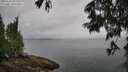 ./images/koeye/fitz-hugh/20250626/fitz-hugh20250626_092009M.jpg