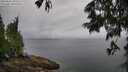./images/koeye/fitz-hugh/20250626/fitz-hugh20250626_092510M.jpg