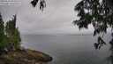 ./images/koeye/fitz-hugh/20250626/fitz-hugh20250626_093510M.jpg