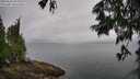 ./images/koeye/fitz-hugh/20250626/fitz-hugh20250626_094011M.jpg