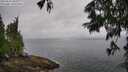 ./images/koeye/fitz-hugh/20250626/fitz-hugh20250626_095010M.jpg