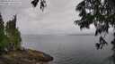 ./images/koeye/fitz-hugh/20250626/fitz-hugh20250626_095507M.jpg