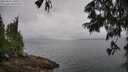 ./images/koeye/fitz-hugh/20250626/fitz-hugh20250626_100510M.jpg