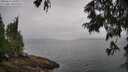 ./images/koeye/fitz-hugh/20250626/fitz-hugh20250626_101010M.jpg