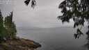 ./images/koeye/fitz-hugh/20250626/fitz-hugh20250626_101511M.jpg