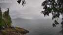 ./images/koeye/fitz-hugh/20250626/fitz-hugh20250626_102510M.jpg