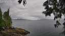 ./images/koeye/fitz-hugh/20250626/fitz-hugh20250626_103510M.jpg