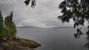 ./images/koeye/fitz-hugh/20250626/fitz-hugh20250626_104010M.jpg