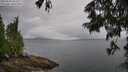 ./images/koeye/fitz-hugh/20250626/fitz-hugh20250626_104510M.jpg