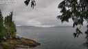 ./images/koeye/fitz-hugh/20250626/fitz-hugh20250626_110511M.jpg