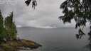 ./images/koeye/fitz-hugh/20250626/fitz-hugh20250626_111009M.jpg