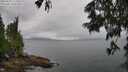 ./images/koeye/fitz-hugh/20250626/fitz-hugh20250626_112509M.jpg