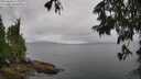./images/koeye/fitz-hugh/20250626/fitz-hugh20250626_113012M.jpg