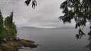./images/koeye/fitz-hugh/20250626/fitz-hugh20250626_113509M.jpg