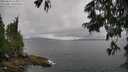 ./images/koeye/fitz-hugh/20250626/fitz-hugh20250626_115010M.jpg