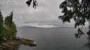 ./images/koeye/fitz-hugh/20250626/fitz-hugh20250626_115510M.jpg